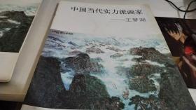 中国当代实力派画家 王梦湖
