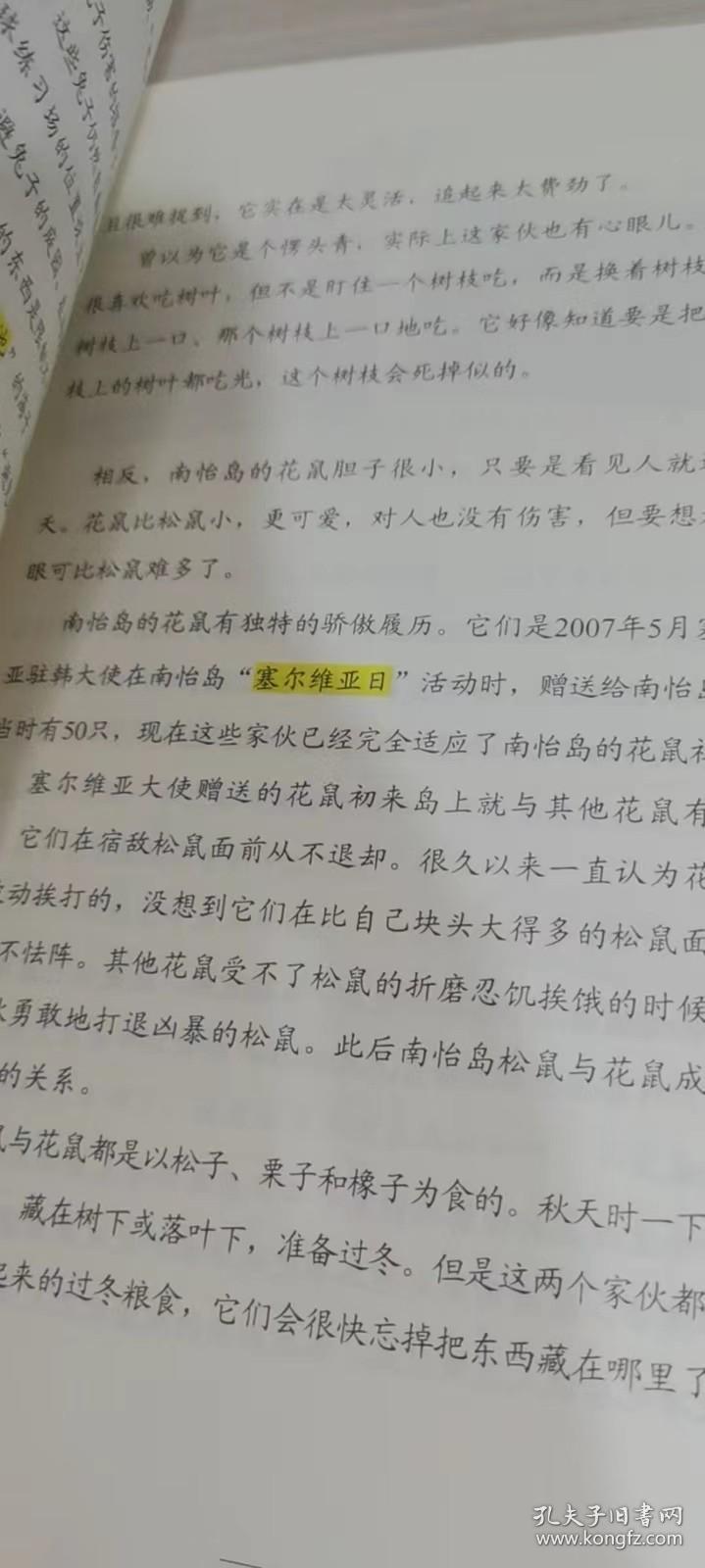 南怡岛：永不终结的故事之旅