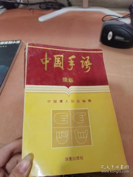 中国手语:续集