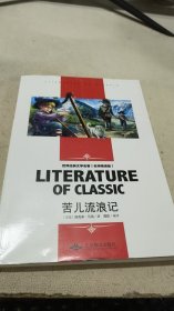 苦儿流浪记