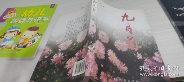 九月菊