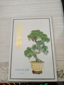 明信片 中国盆景艺术