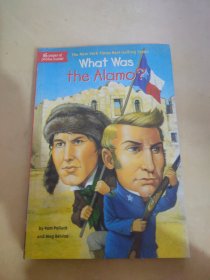 What Was the Alamo?