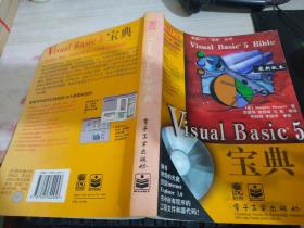 Visual Basic 5宝典