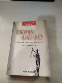 青年干部法制文集