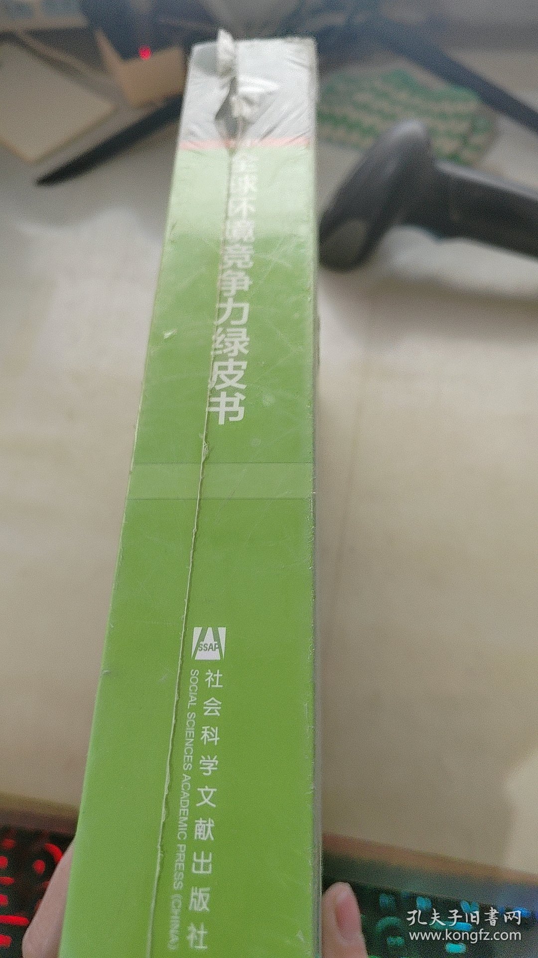 全球环境竞争力绿皮书（2015）