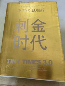 小时代3.0刺金时代（修订本）