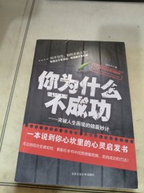 你为什么不成功：突破人生困境的锦囊妙计