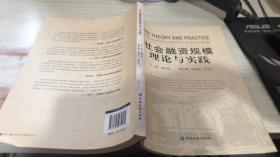 社会融资规模理论与实践