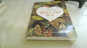 心灵鸡汤3：挑战人生的棋局