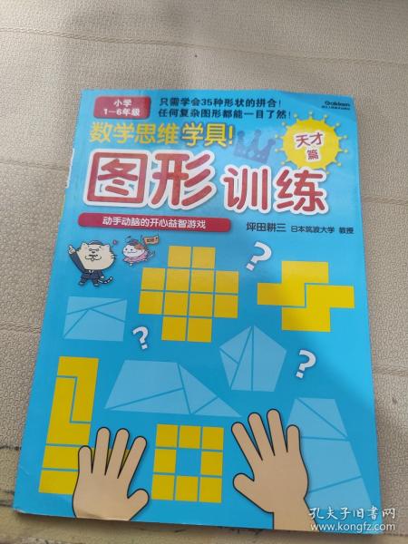 数学思维学具·图形训练：天才篇（小学1～6年级）