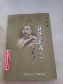 北洋兵戈 八