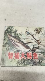 智捕大鲟鱼