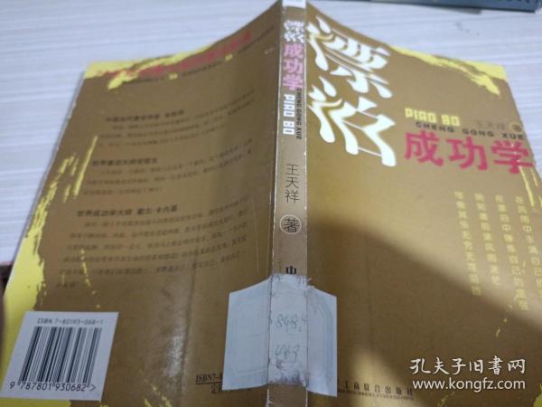 漂泊成功学