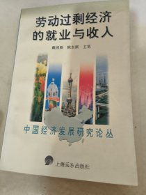 劳动过剩经济的就业与收入