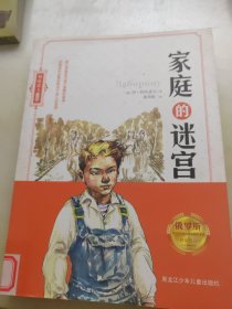 家庭的迷宫/利哈诺夫作品集