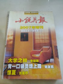 小说月报2007