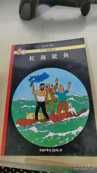 红海鲨鱼