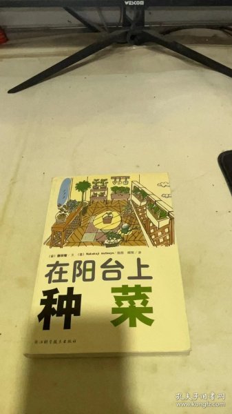 在阳台上种菜