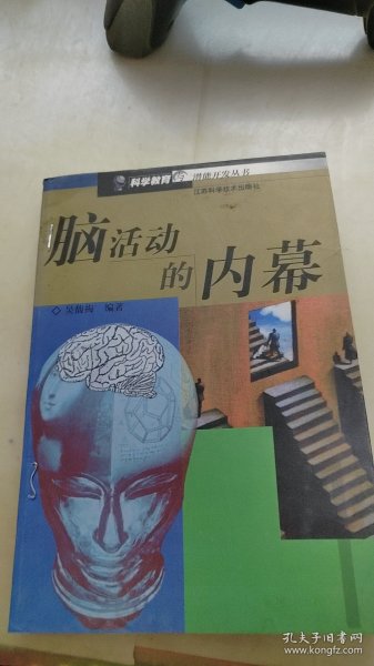 脑活动的内幕