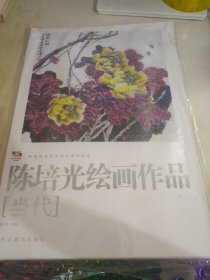 中国高等艺术院校教学范画 陈培光绘画作品当代 活页19