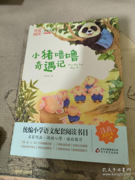 小猪噜噜奇遇记 名家儿童文学作品阅读 小学语文课外拓展阅读