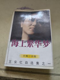 海上繁华梦：王安忆自选集之一