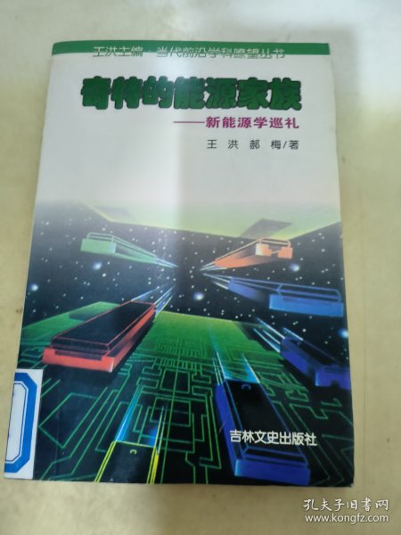 奇特的能源家族:新能源学巡礼