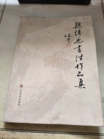 魏传忠书法作品集