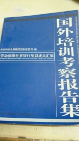 國外培訓(xùn)考察報告集