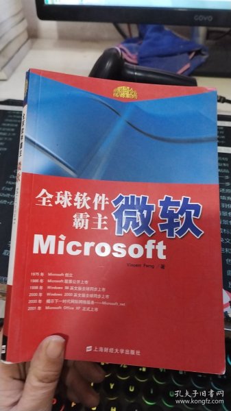 全球软件霸主微软Microsoft