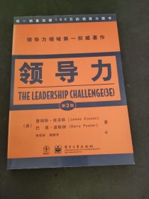 领导力(第3版)