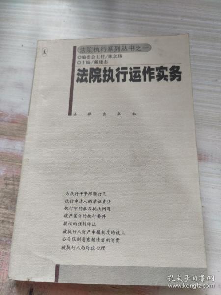 法院执行运作实务——法院执行系列丛书之一