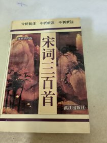 宋词三百首:今析新注