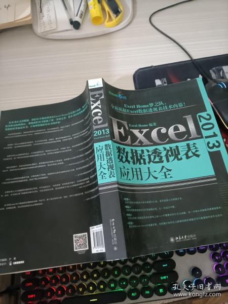 Excel 2013数据透视表应用大全