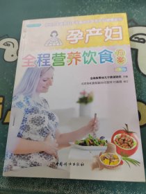 孕产妇全程营养饮食方案（之宝贝书系84）