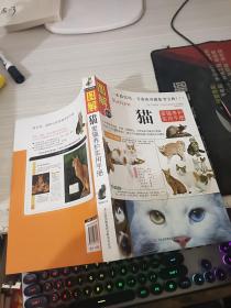 猫：爱猫养护实用手册