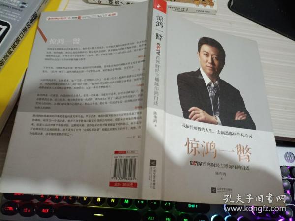 惊鸿一瞥：CCTV首席财经主播陈伟鸿自述