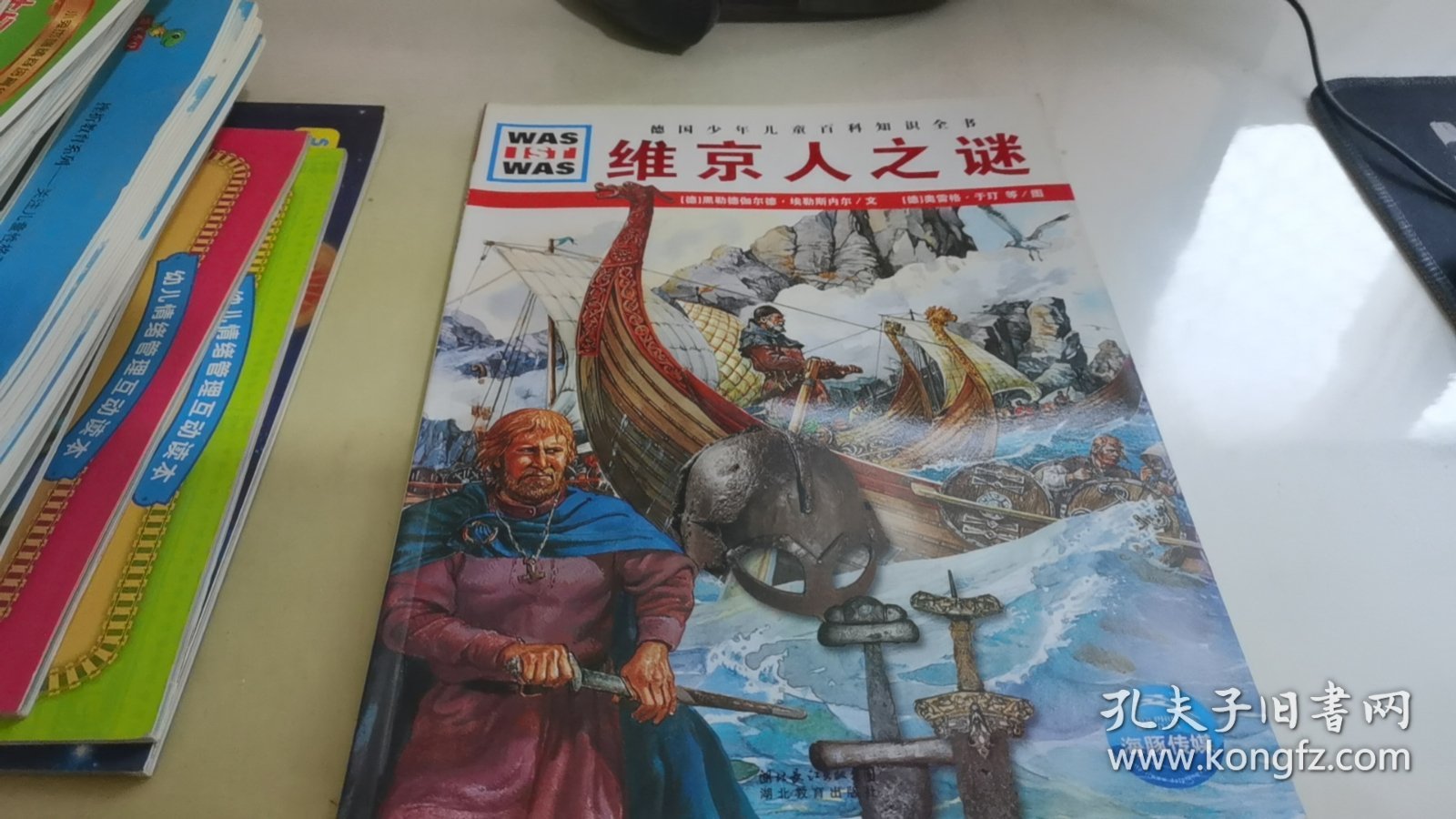 什么是什么：维京人之谜