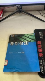 西南政法大学21世纪知识产权法学系列：著作权法