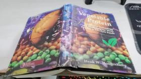 VEGETABIEPROTEIN