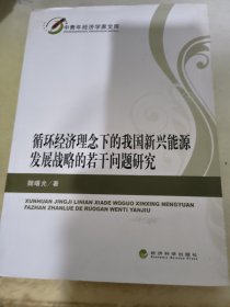 中青年经济学家文库：循环经济理念下的我国新兴能源发展战略的若干问题研究