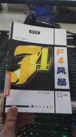 F4风暴（梦工场）