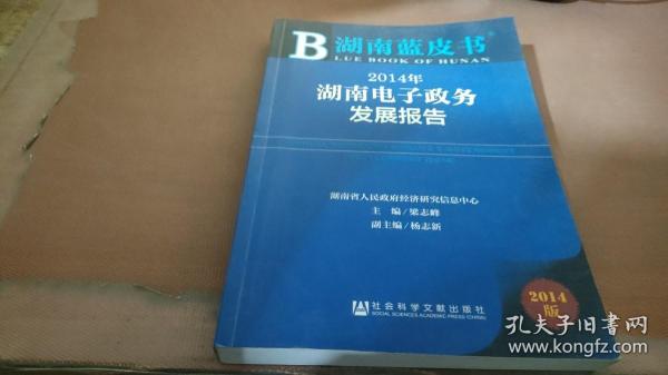 2014年湖南电子政务发展报告