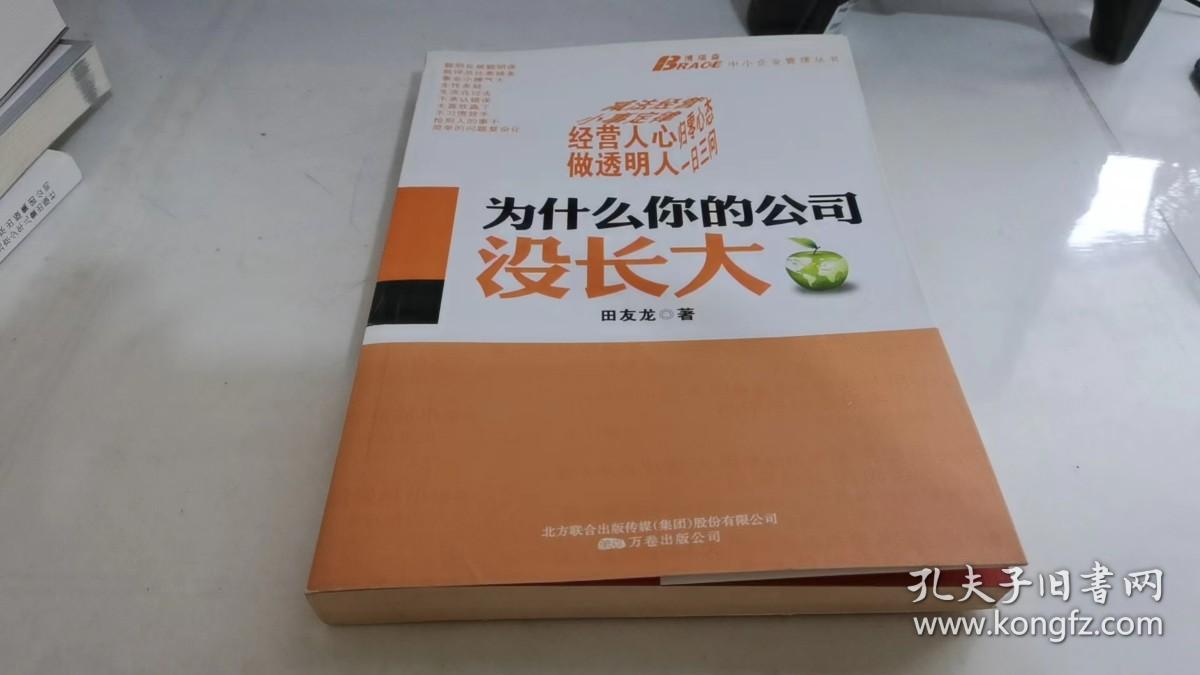 为什么你的公司没长大