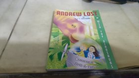 ANDREW LOST