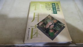 食用菌的妙用与忌口