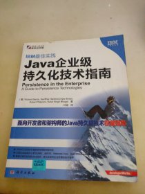 IBM最佳实践：Java企业级持久化技术指南