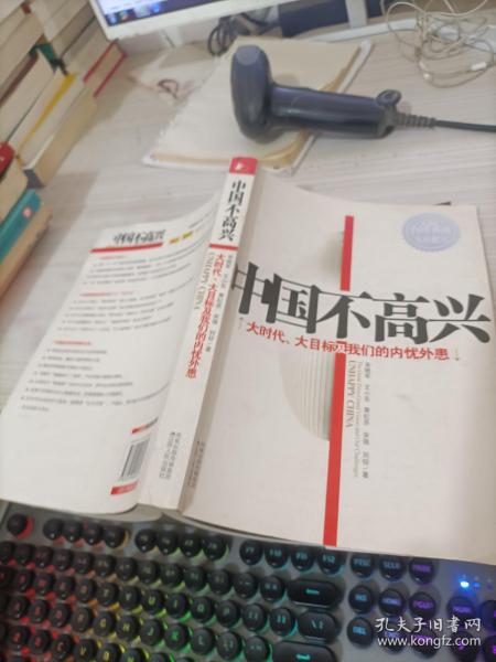 中国不高兴：大时代大目标及我们的内忧外患