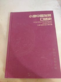 小康中国发展口述史